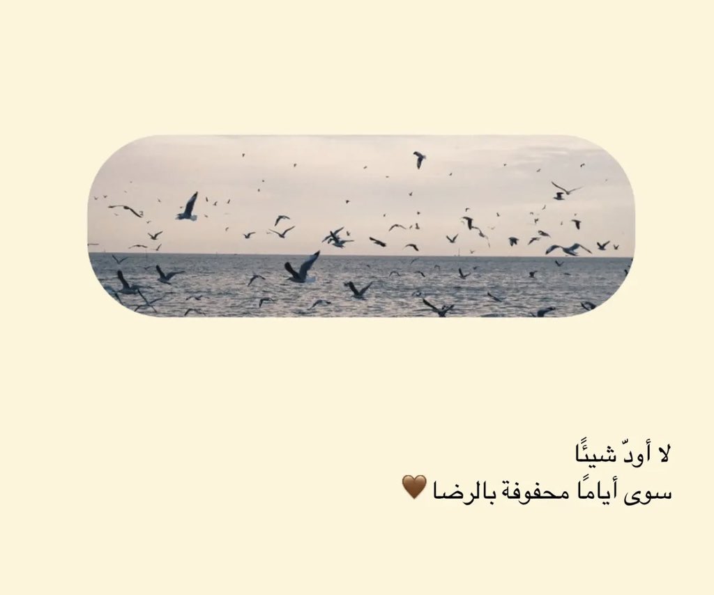 Zainab_D🇮🇶 (@zainab_92_d) on Twitter photo 