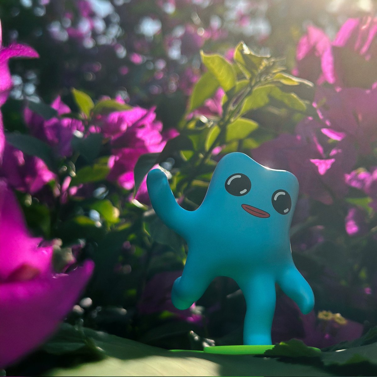 rocket_'s tweet image. just some fwog blind box reveals ✨