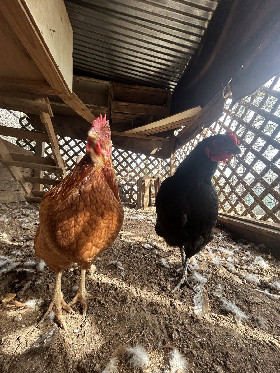 The girls are staying warm (left-caramel 7 years old right l-Charlotte 7 months old)