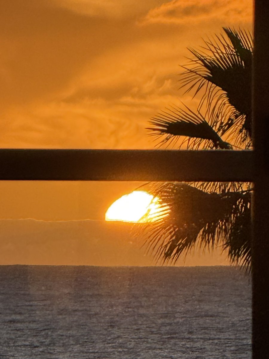 ShineBrightJill's tweet image. Tonight’s view from my bath! 🛁🌴🏩🌊🥂🍾🌅 This is definitely the life I was made for! 😍 This way of life is an amazing way of life and I never want it to end. ❤️ #MoëtMoment 😜 #LivingTheDream 😉