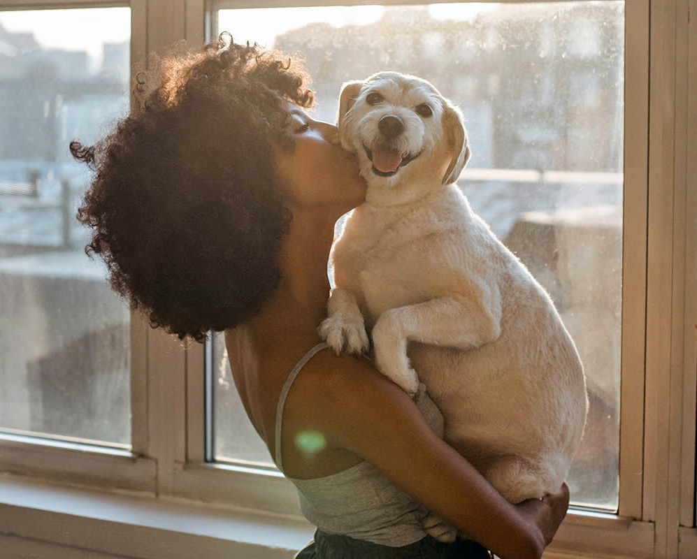 CWC_Company's tweet photo. January 21st is National "Hug Your Puppy Day" - good advice on any occasion (except perhaps after those unfortunate skunk encounters). https://t.co/Rit9XnPQxt