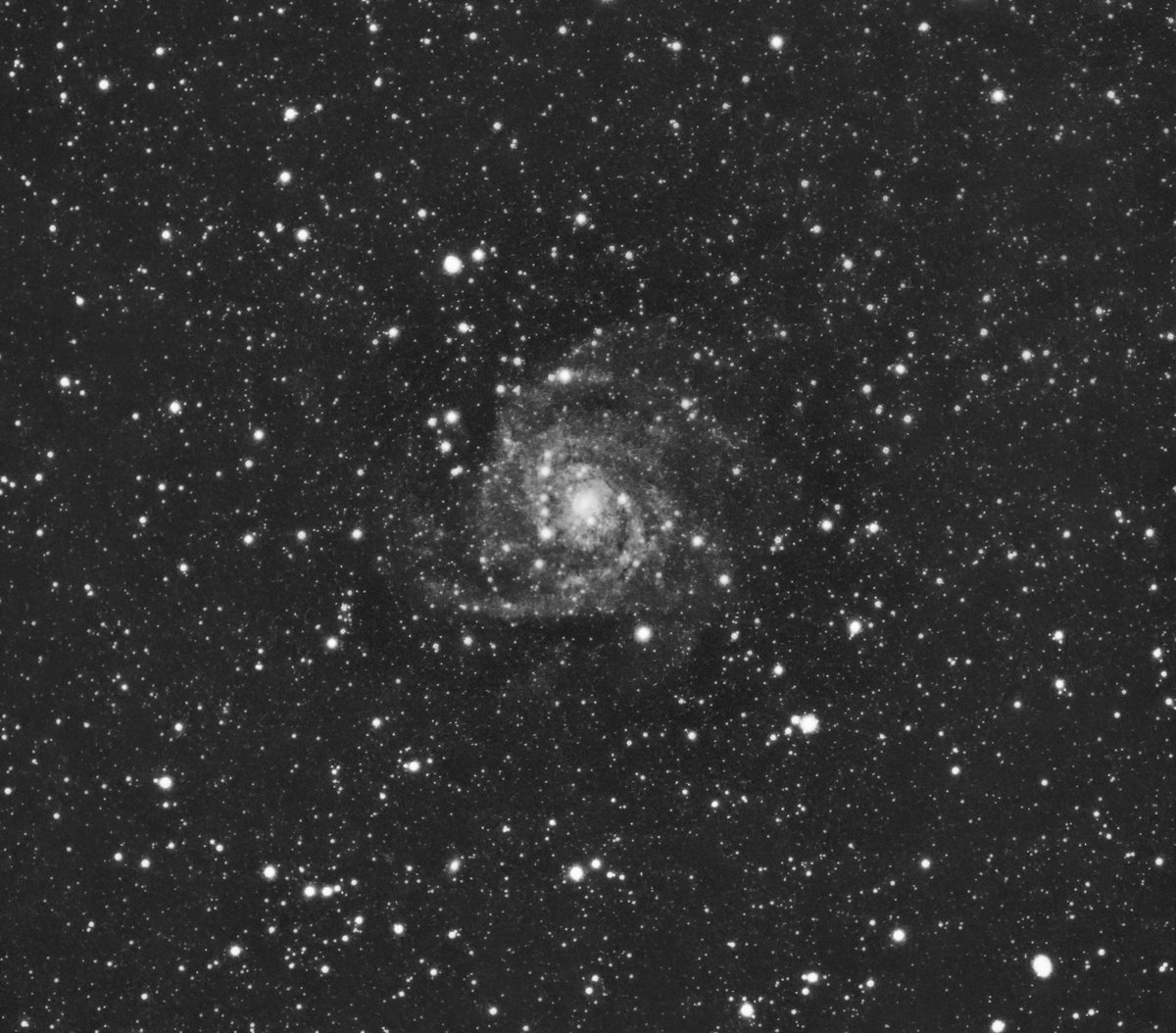 xipteras's tweet image. 🌌 The Hidden Galaxy IC 342, is a spiral one #galaxies about 10 million light years away from us in the constellation of Camelopardalis. With an apparent magnitude of 9.1, it should be easily visible in small telescopes, but its beauty is obscured by huge clouds of dust from the