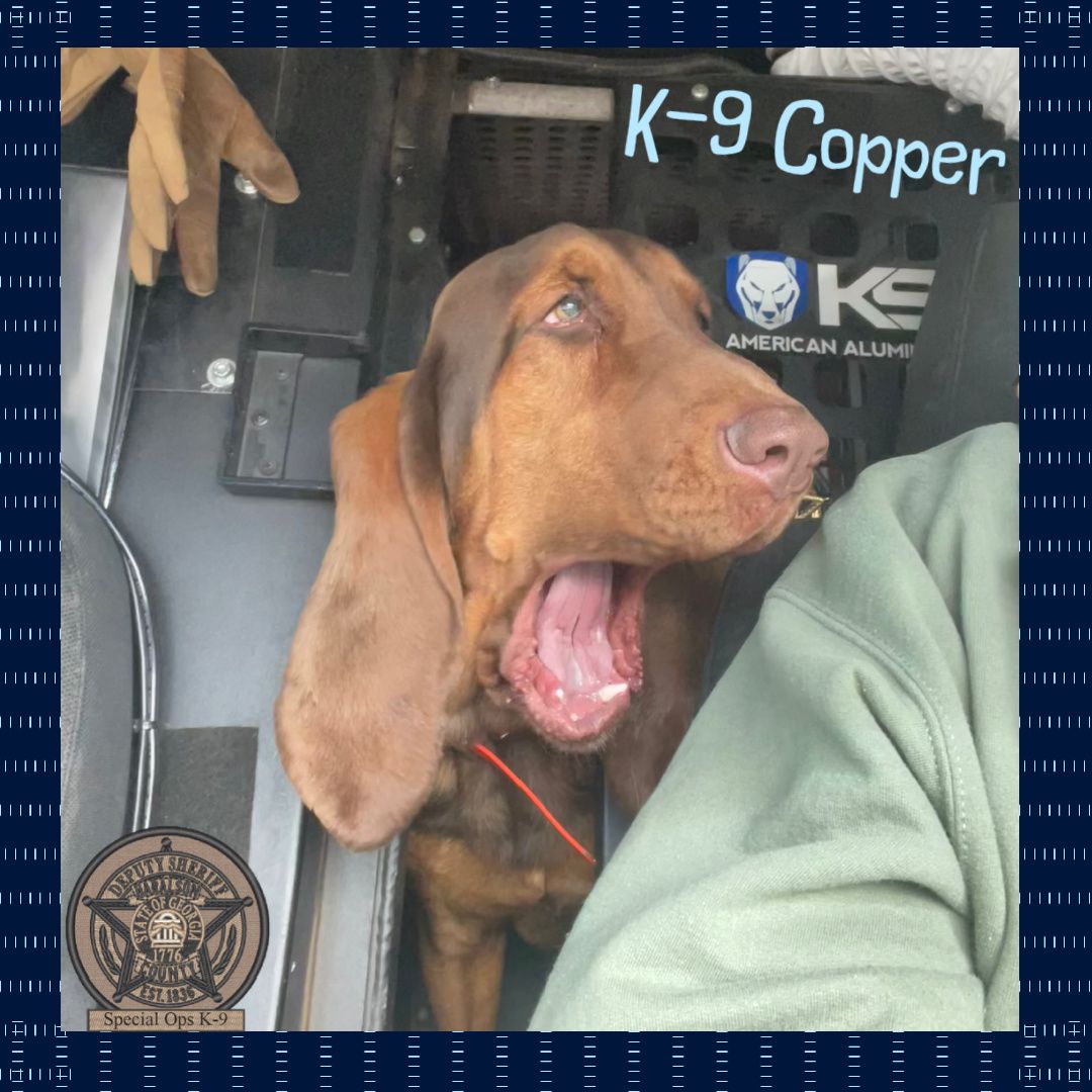 HCSOK9Division's tweet image. That face you make when you hear there is a winter storm possibly heading your way…😱

Don’t panic (like K-9 Copper), stay calm, and use trusted weather sources!

#K9Copper🐾
#WinterWeather
#SillyBoy
#BloodhoundK9
#GoodBoy
#StayCalm
#StayWeatherAware
#HCK9Division
#HCSO