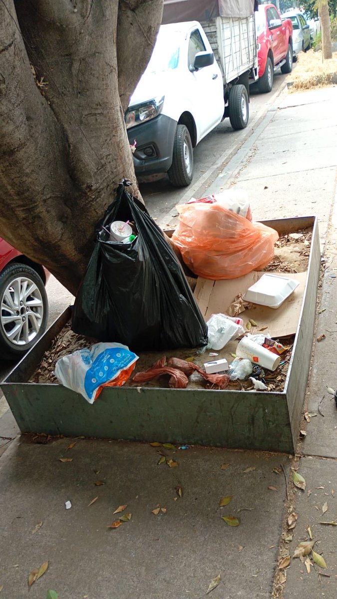 Lila Charvel tweet media