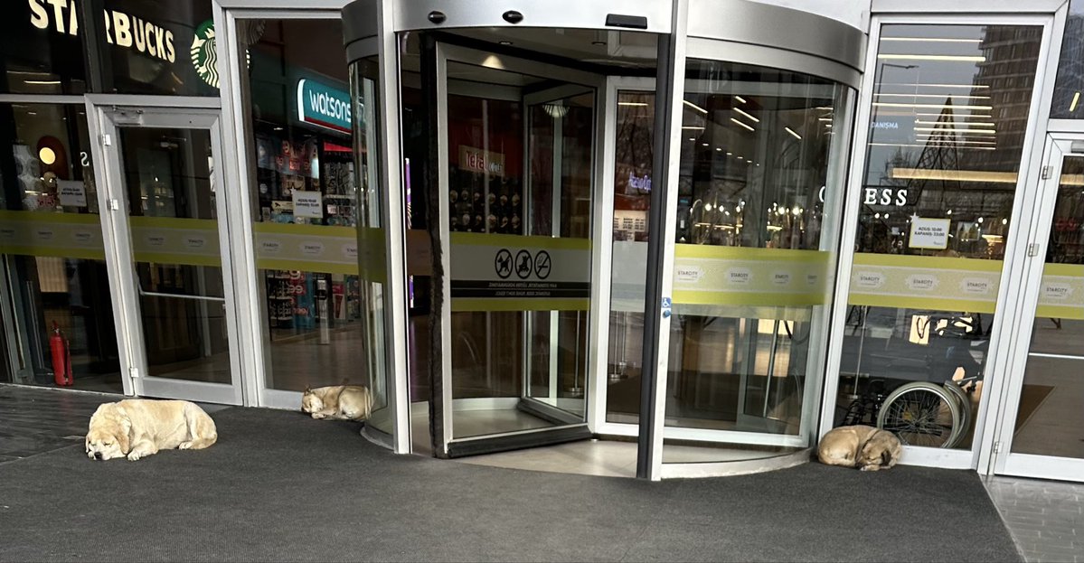 İstanbul Yenibosna Starcity AVM <a href="/starcityoutlet/">Starcity Outlet</a> girişinde 3 tane başıboş köpek... im
Normalleştirmeye çalışıyorlar <a href="/KopekTehlikesi/">Başıboş Köpek Tehlikesi</a>