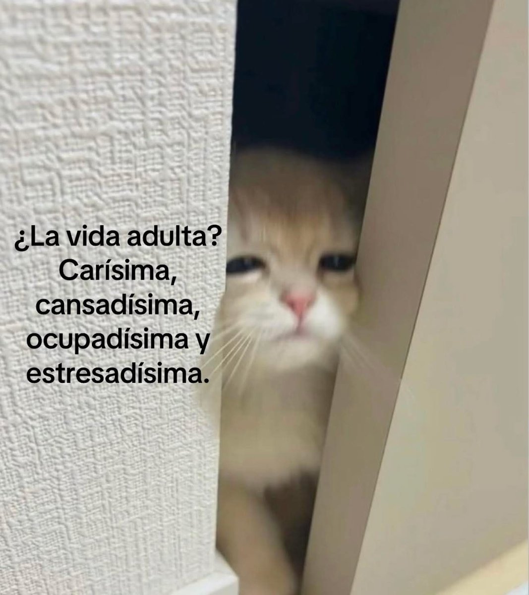 Javisness's tweet image. 