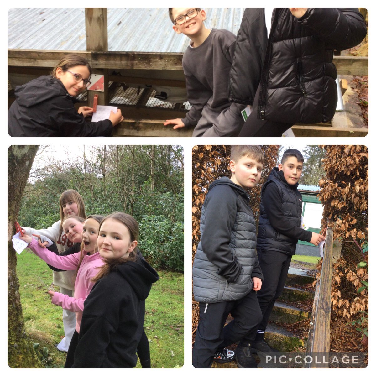 Chapelhall Primary tweet media