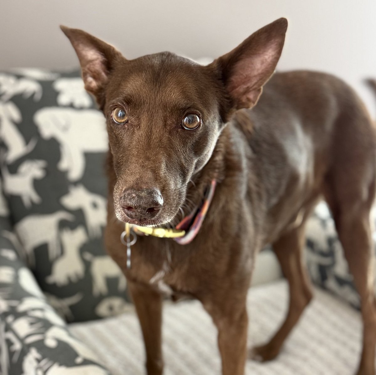 Spike Eskin tweet media