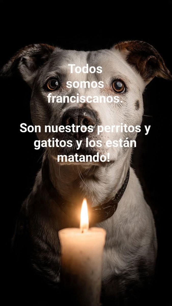 Sabueson (@sabueson) on Twitter photo 