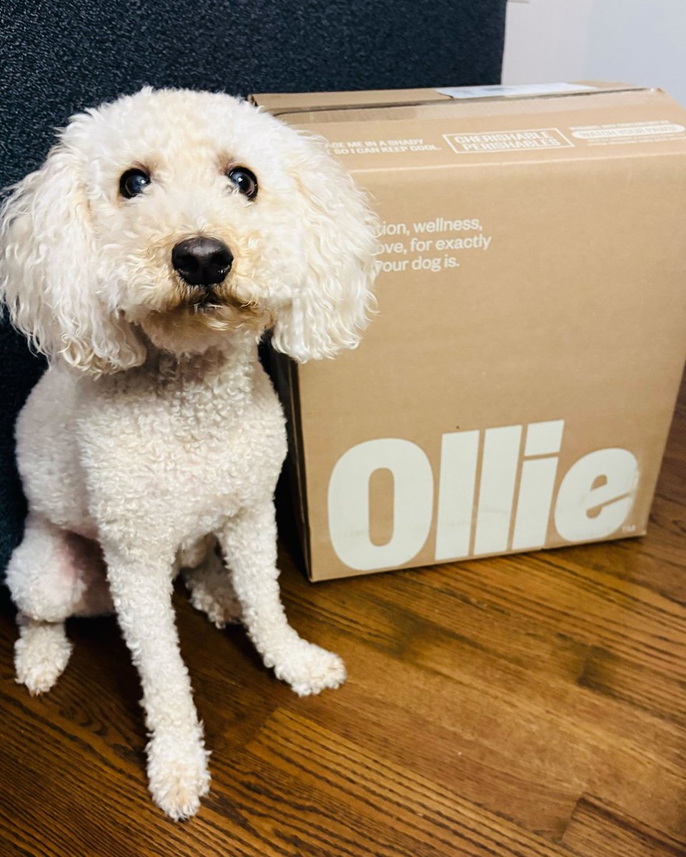 Justworks tweet media