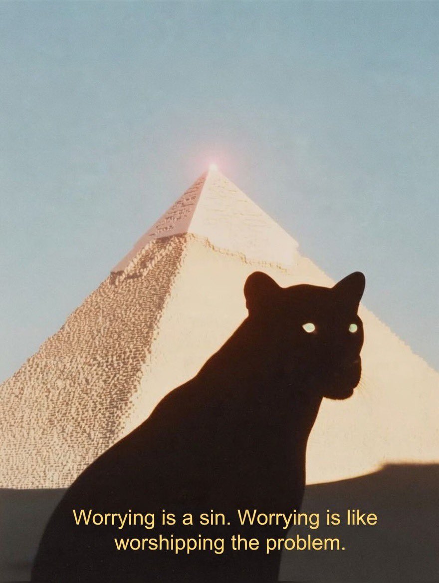 Wise Big Homie 💎 (@wisebighomie) on Twitter photo 