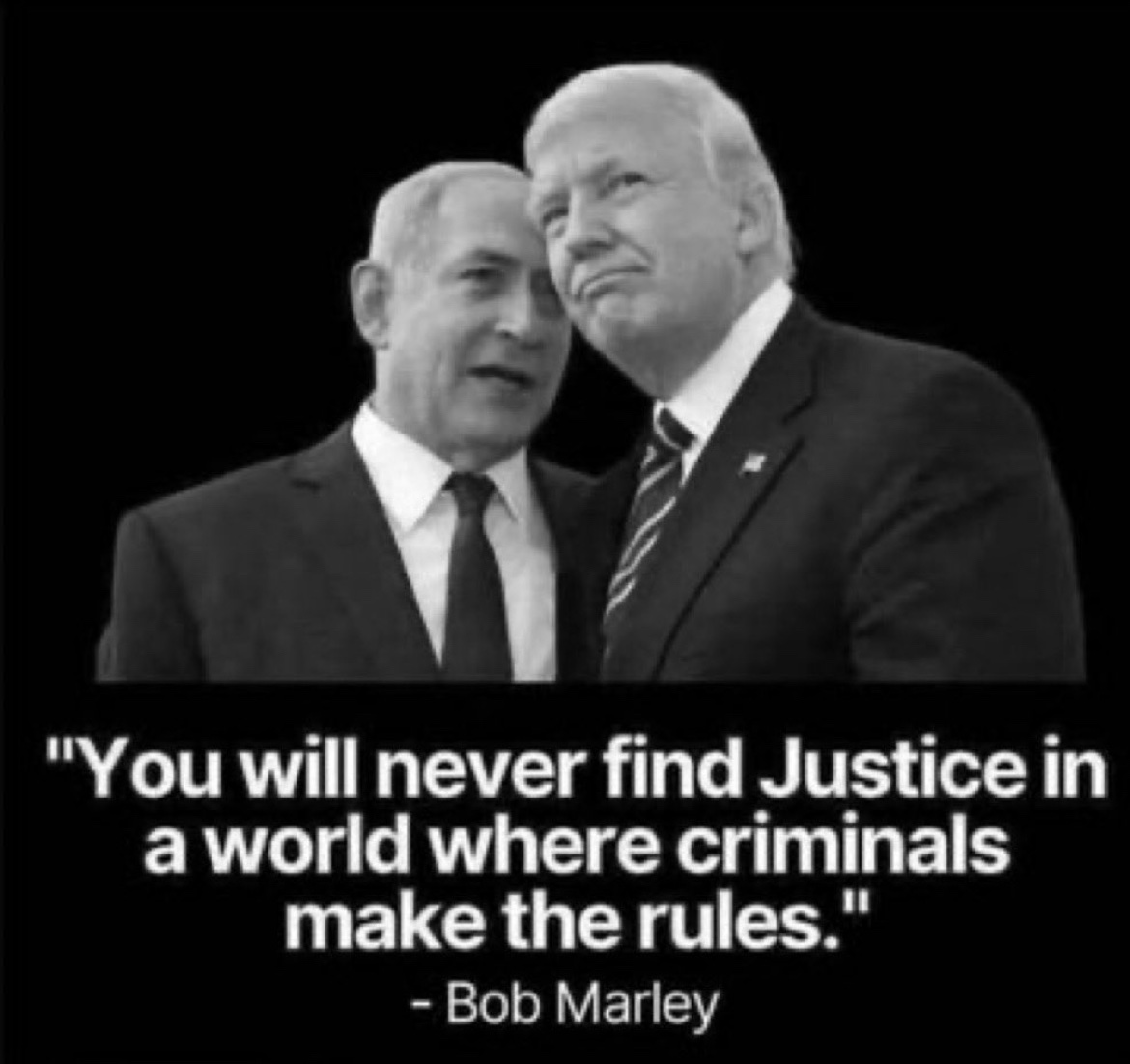 Papo352's tweet image. 