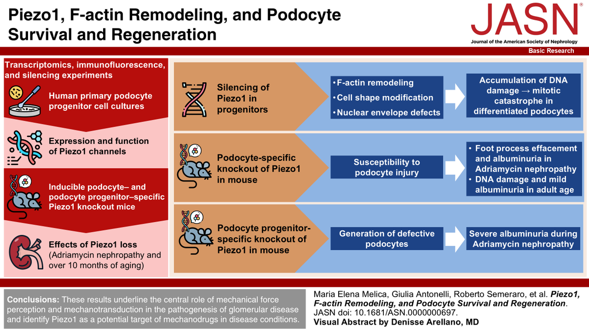 ASN Publications tweet media