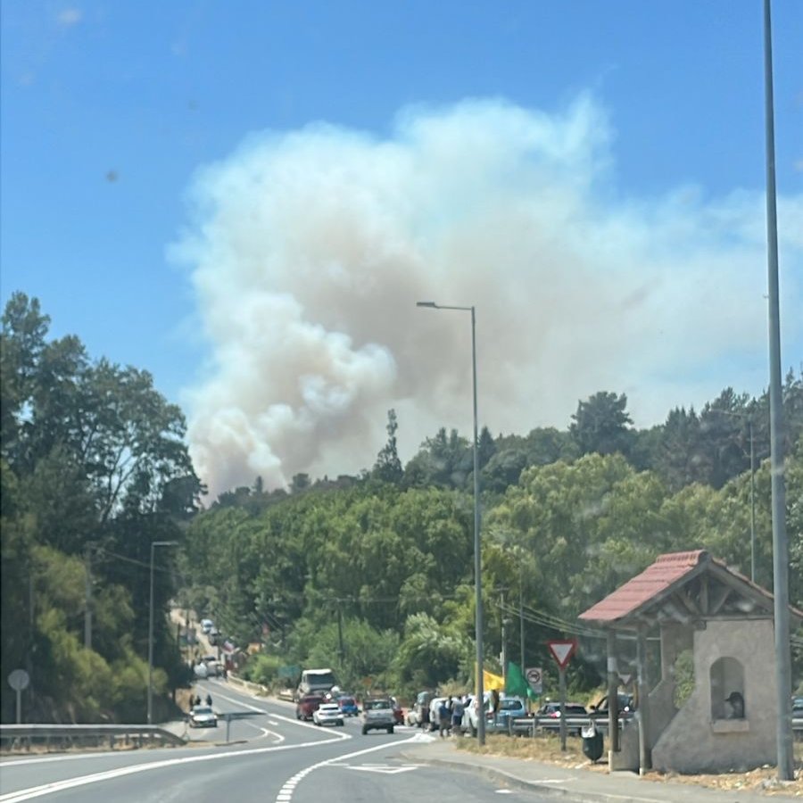 ICEBiobio's tweet image. #Concepción Ruta a Florida sector puentes 4 y 5 activacion de focos de incendio forestal, se corta transito en el puente 1.
