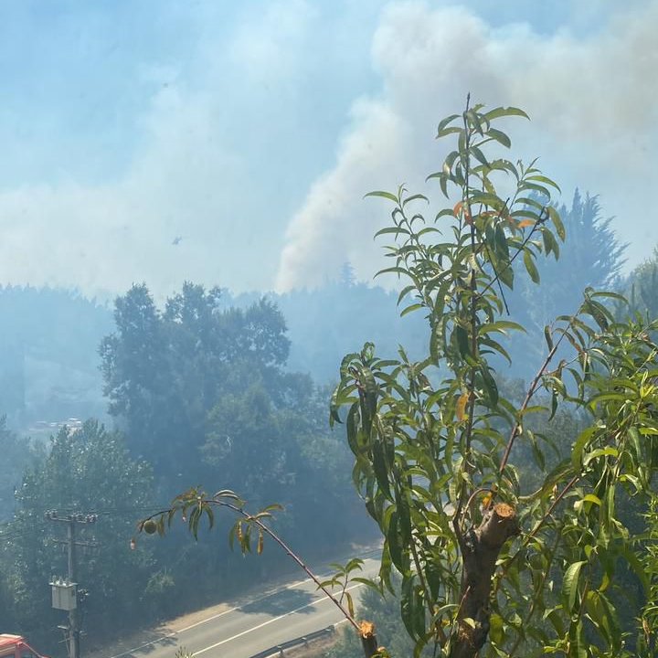 ICEBiobio's tweet image. #Concepción Ruta a Florida sector puentes 4 y 5 activacion de focos de incendio forestal, se corta transito en el puente 1.