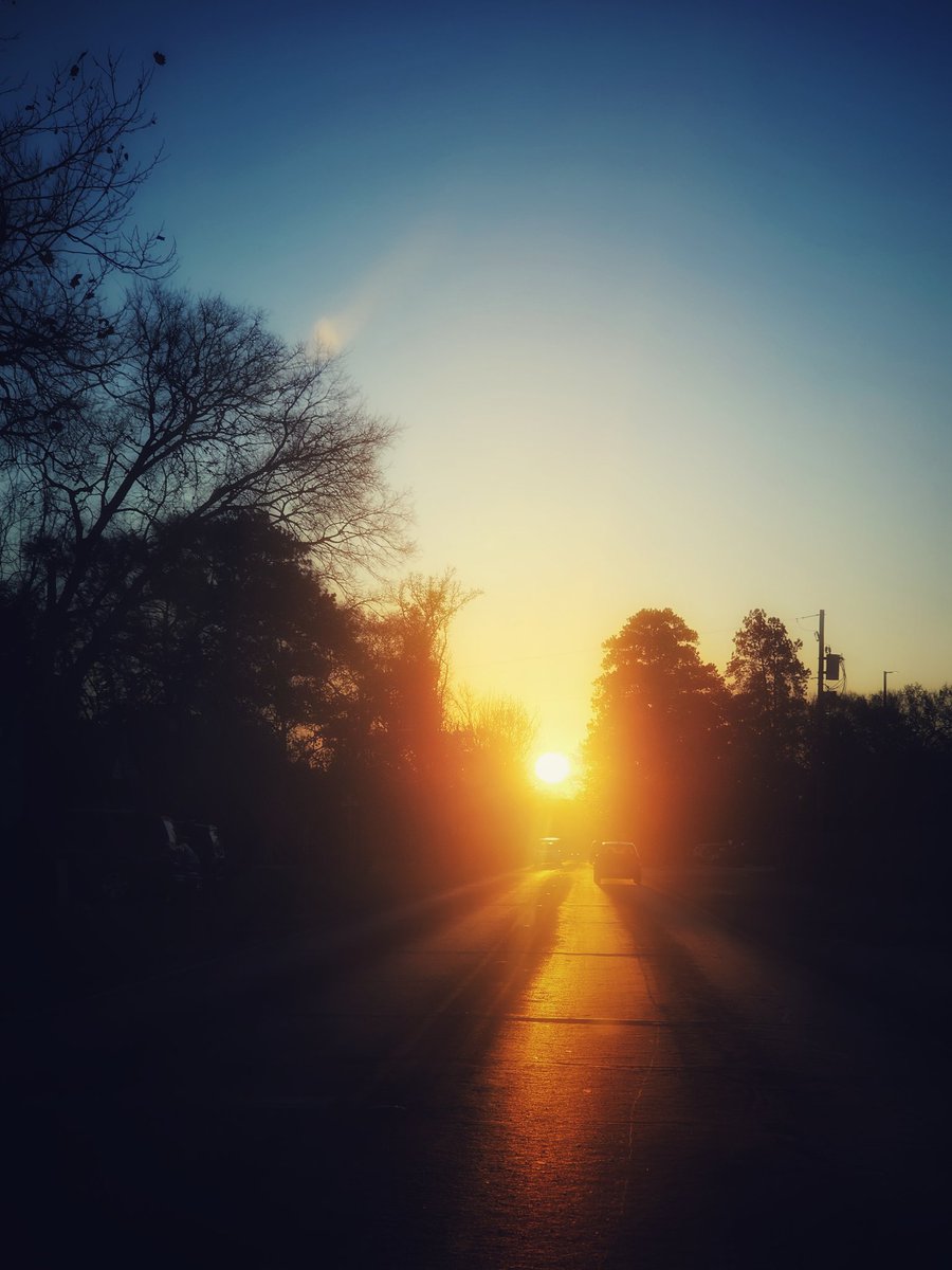 sylviafranco's tweet image. 