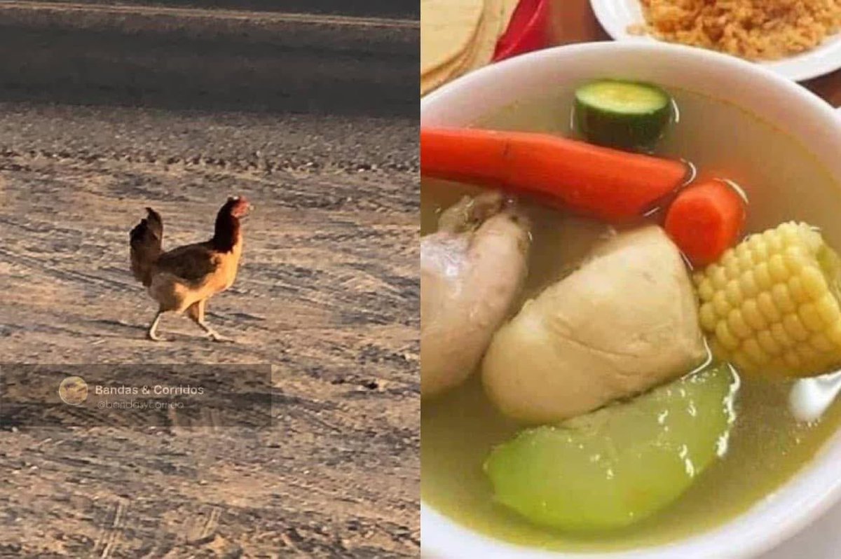 Hoy estamos // mañana quien sabe