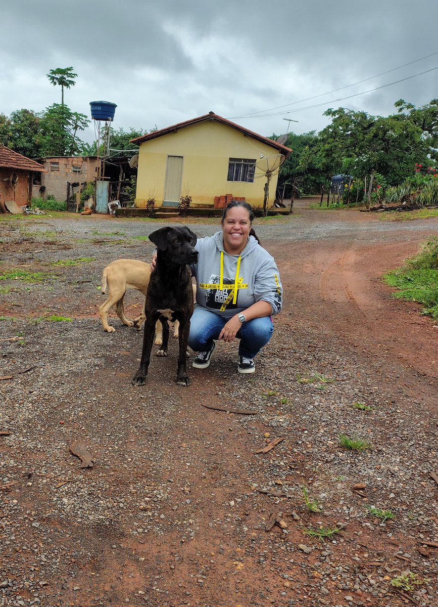 Feriado de ontem na Roça.🐕