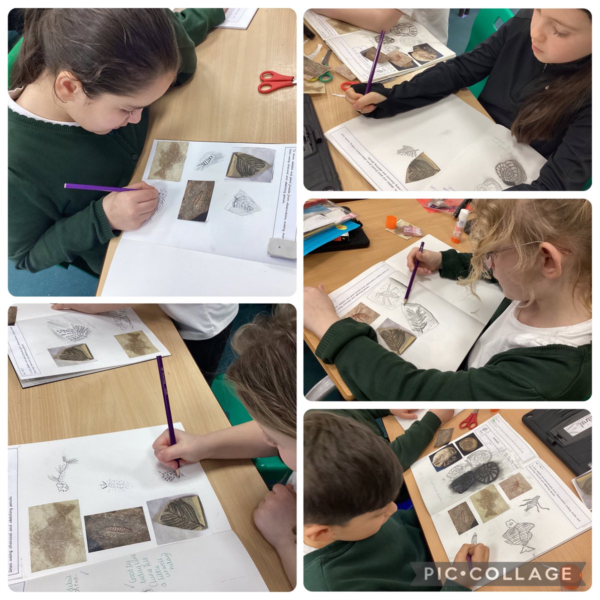 The Gates Primary – Swallows Class Page tweet media