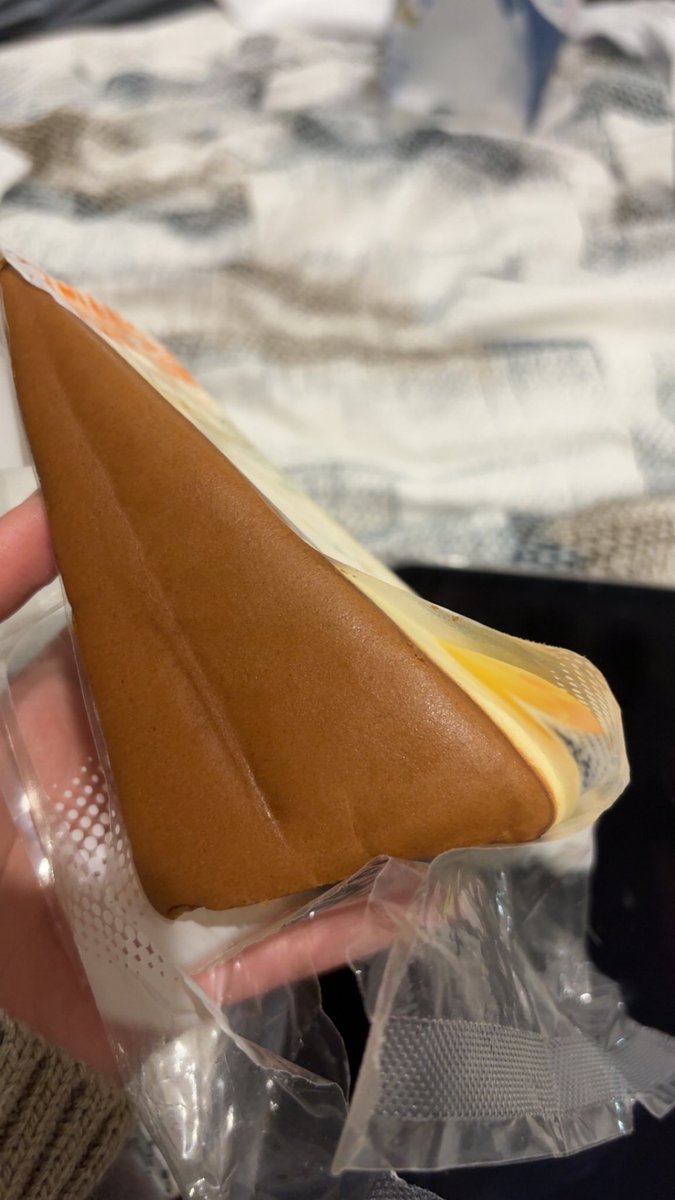 라일라 tweet media