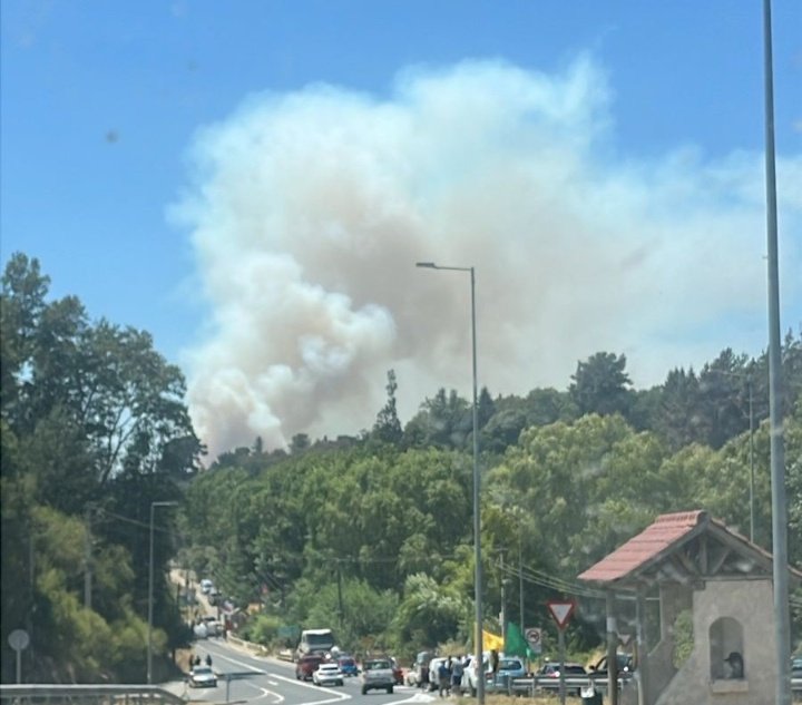 GermanMoyano15's tweet image. 🚨🔥#Concepcion SITUACIÓN ACTUAL DE INCENDIO FORESTAL TOTALMENTE DESCONTROLADO "TRINITARIAS".