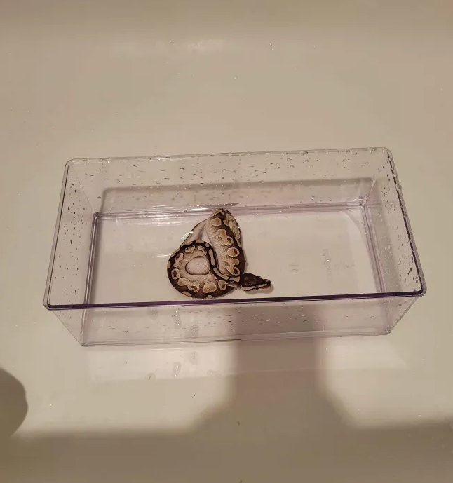 SOUNDBBABE💎 tweet media