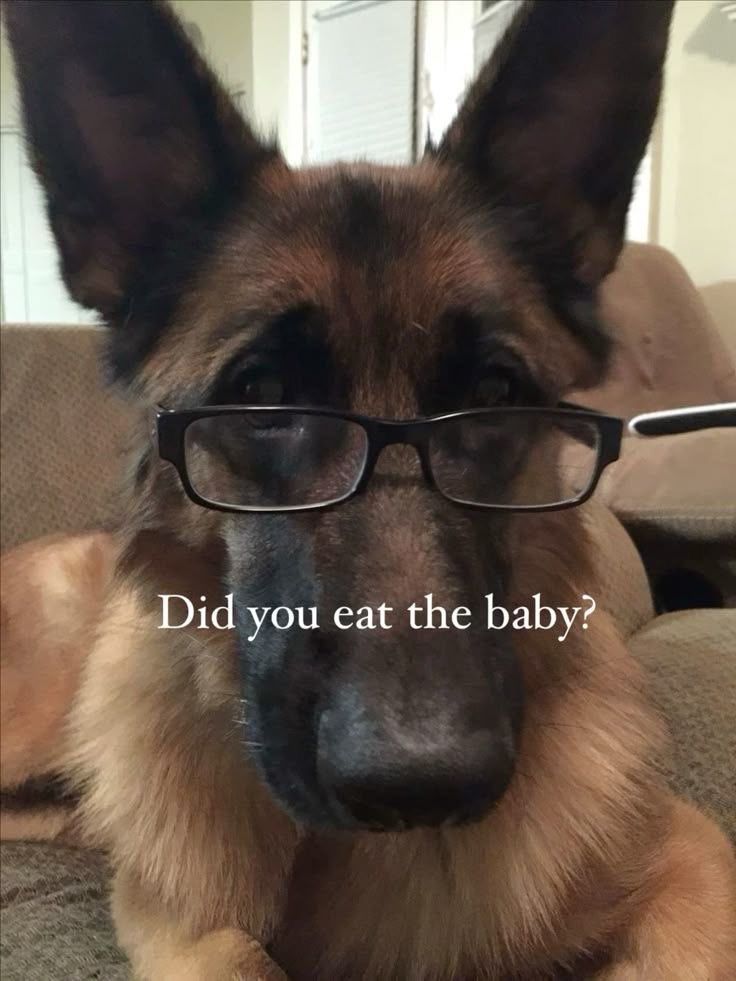 joonieslight's tweet image. choose your fighter