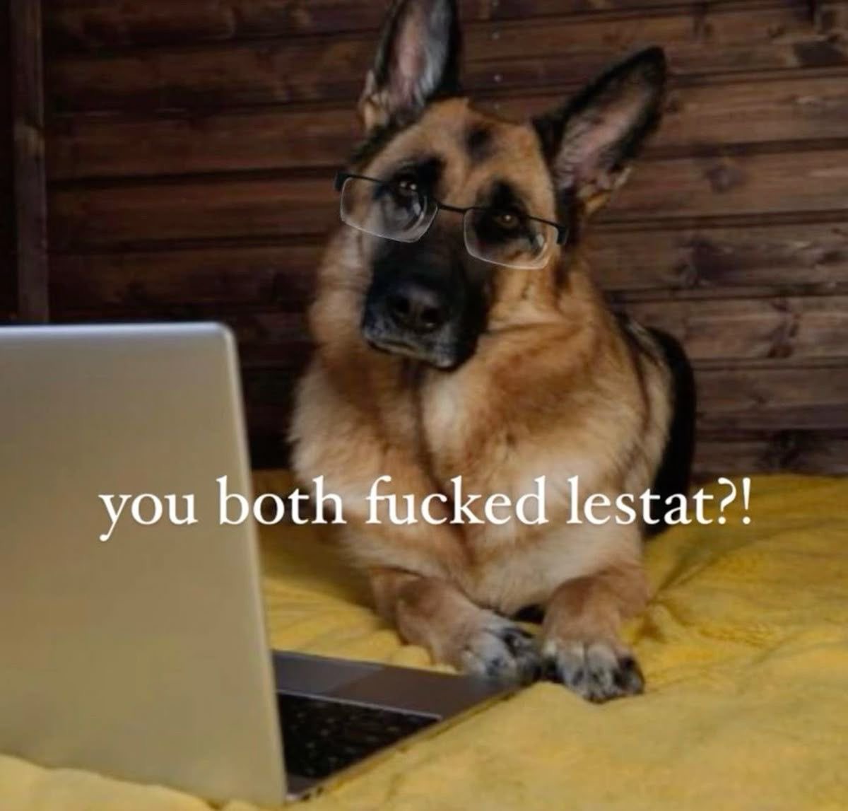 joonieslight's tweet image. choose your fighter