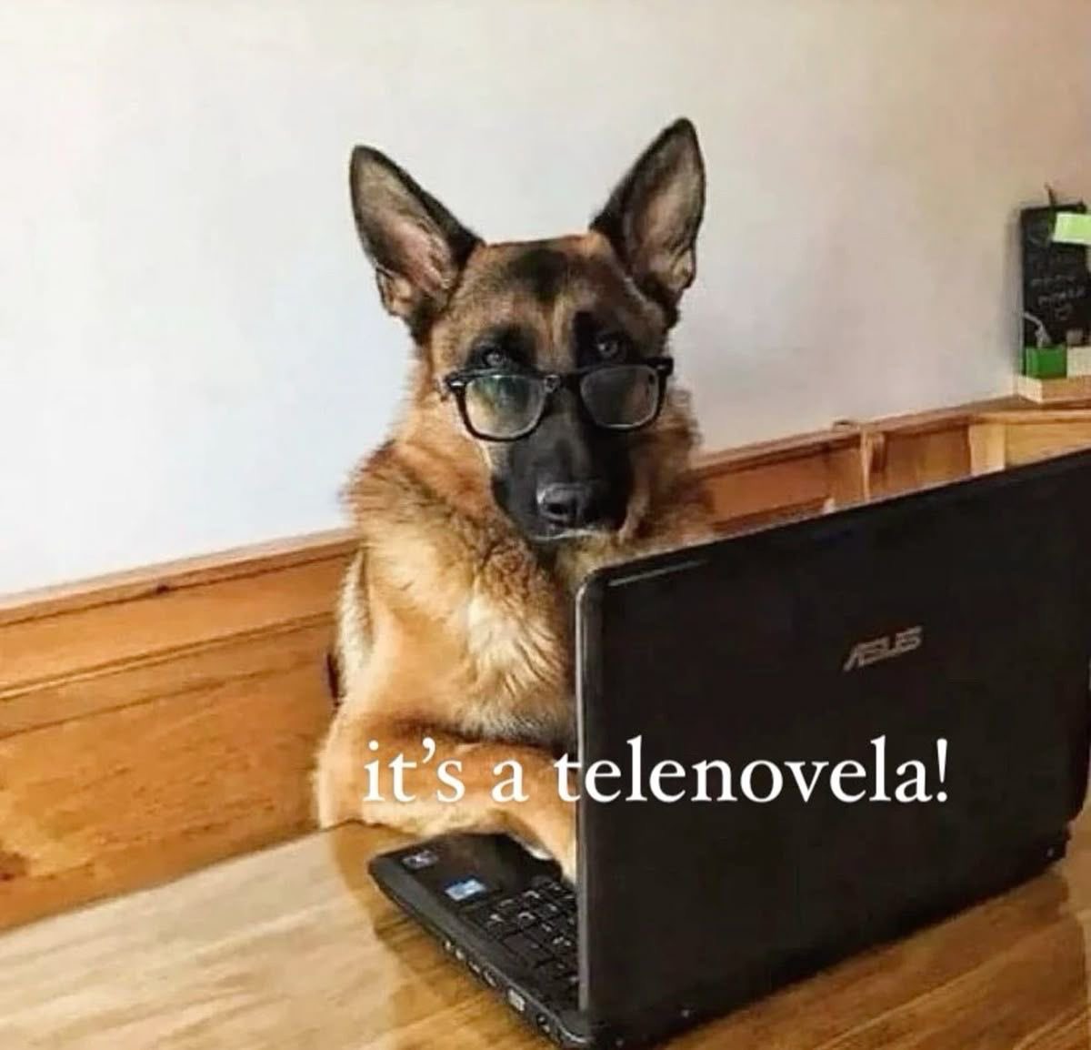 joonieslight's tweet image. choose your fighter