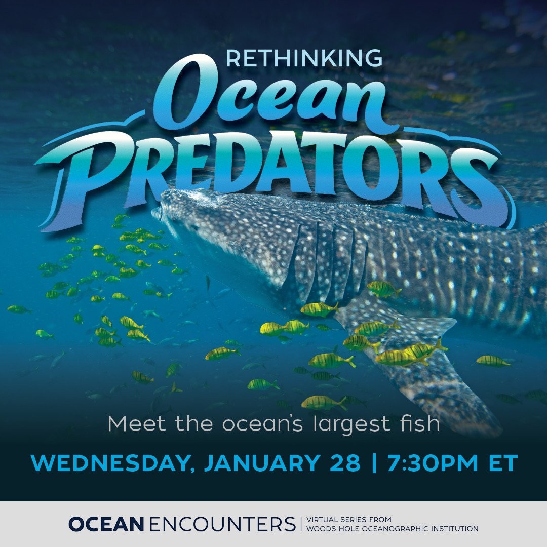 Woods Hole Oceanographic Institution (WHOI) tweet media