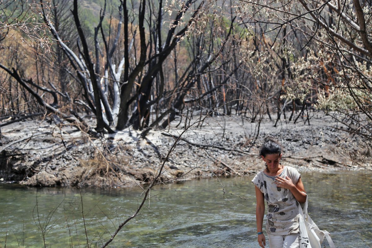 NewtroArts's tweet photo. The @BosqueGracias fam needs us 🫂🤍
These have been very difficult days for our community, but little by little we’re finding ways to support each ohter.

The images coming from Epuyén, Patagonia, are devastating. Today more than ever, we need to show up for those who need us, to help rebuild a space that is key to the culture of this ecosystem we share, both onchain and IRL.