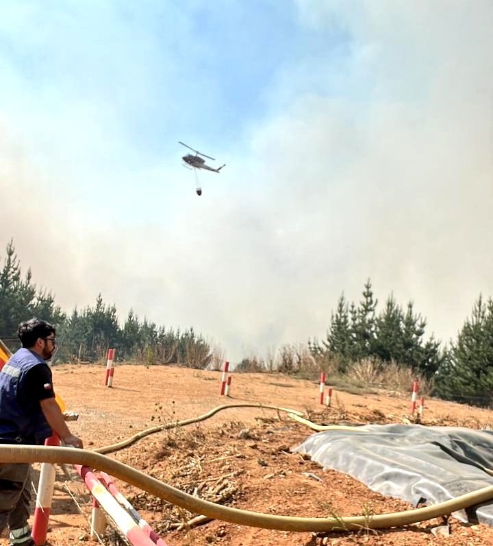 ICEBiobio's tweet image. #Concepción ruta a Florida altura puente 7 Incendio forestal avanza sin control al momento, reactivación de focos y fuerte viento dirección hacia el valle, se solicita estar atentos a mensajería SAE para evacuación.
