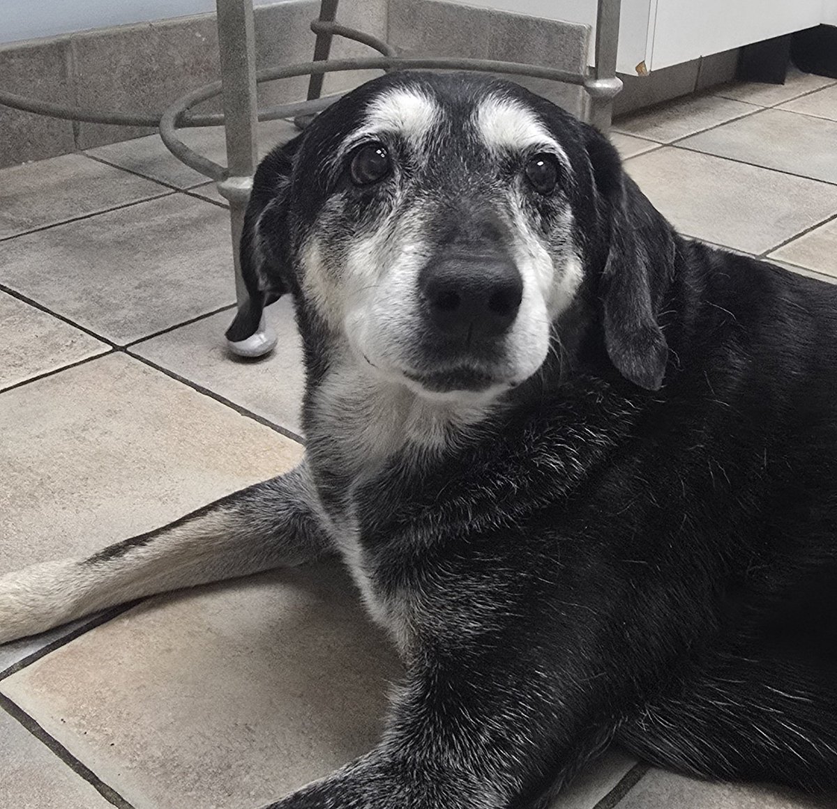 Coach Dorn || Oyaji Club tweet media