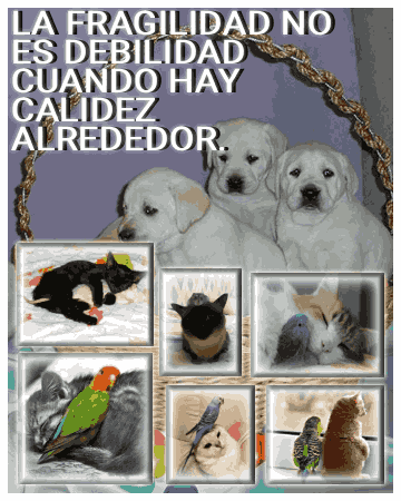 miern eestaba aburrido y ise esto