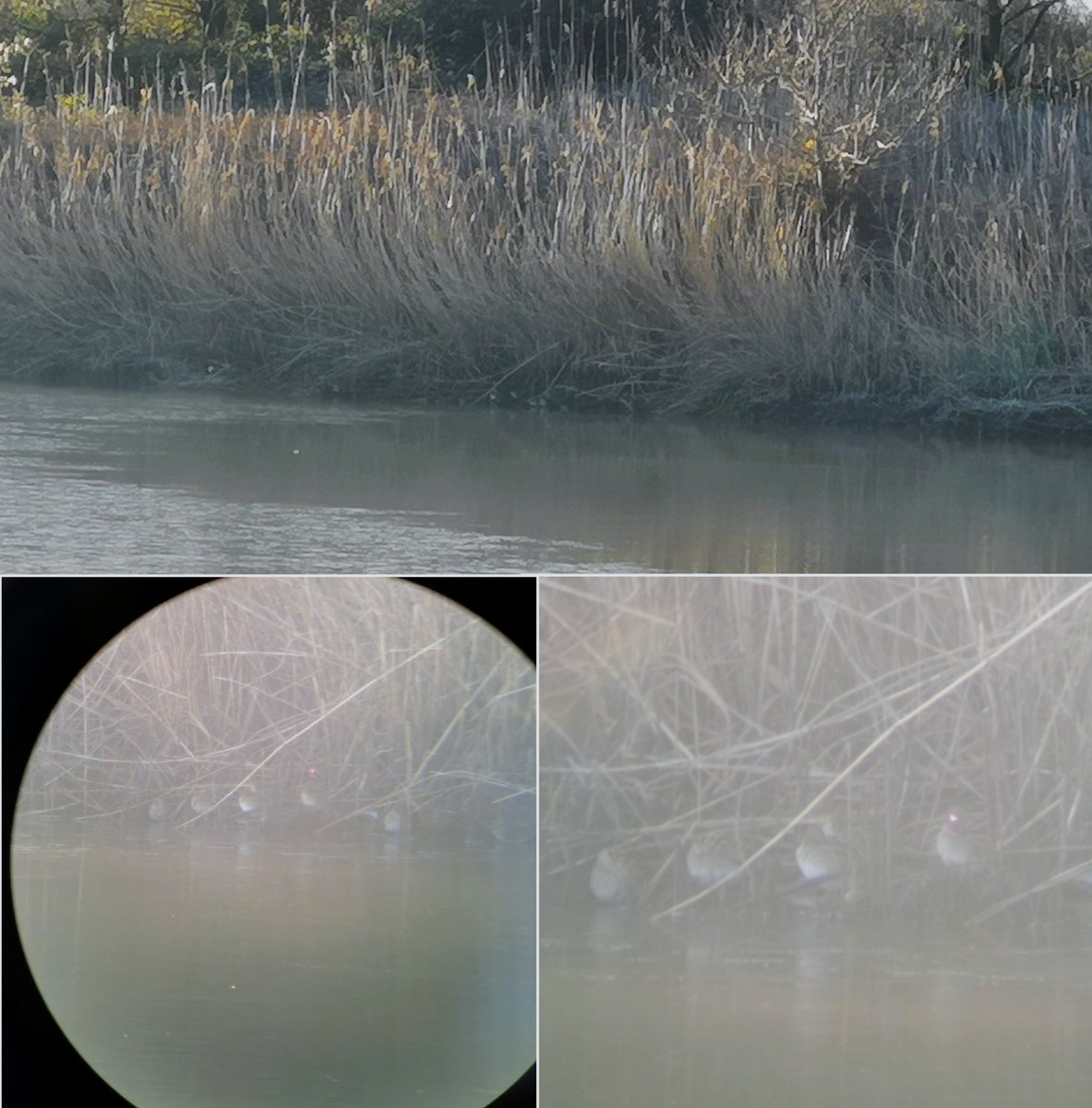 Conservation Volunteers St Mellons & Trowbridge tweet media