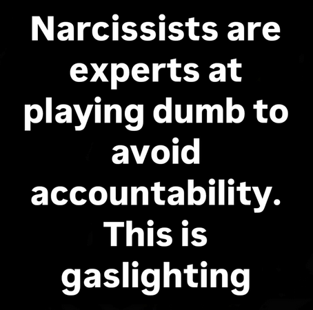 The Narcissist Box tweet media