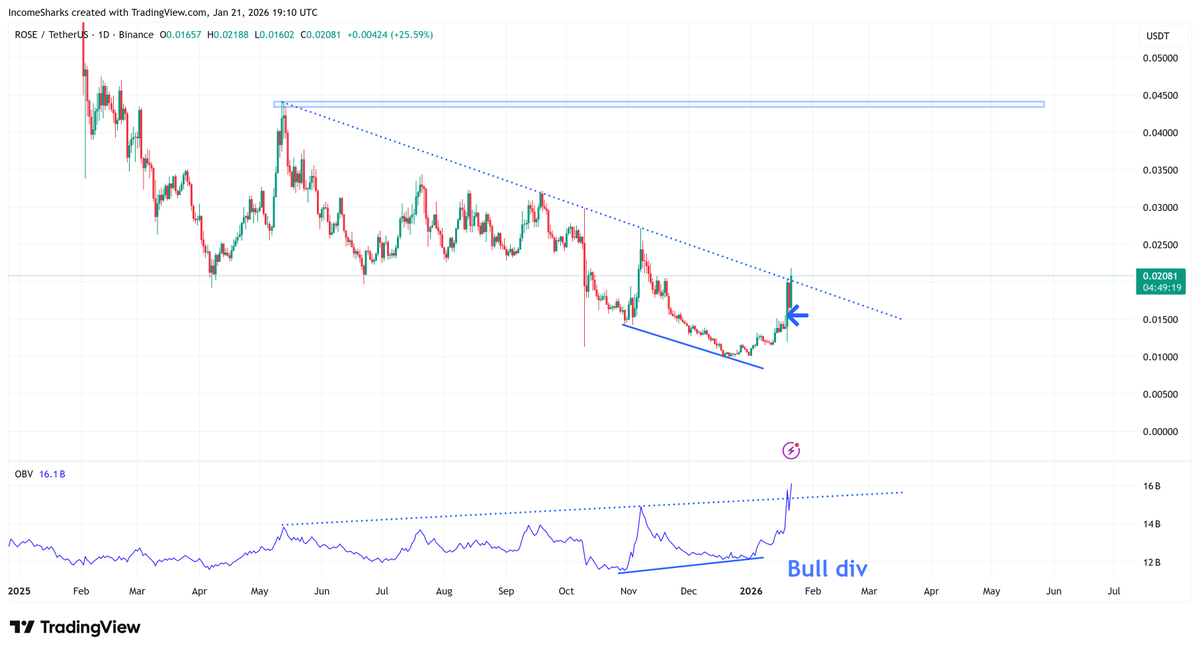 $ROSE - The bull argument is strong. Largest volume candle in over a year on a breakout. Year long diagonal breakout, supertrend bullish, OBV breakout, OBV bullish divergence, and it's got mindshare and trading green on red days. Happy to be wrong taking a trade setup like this.