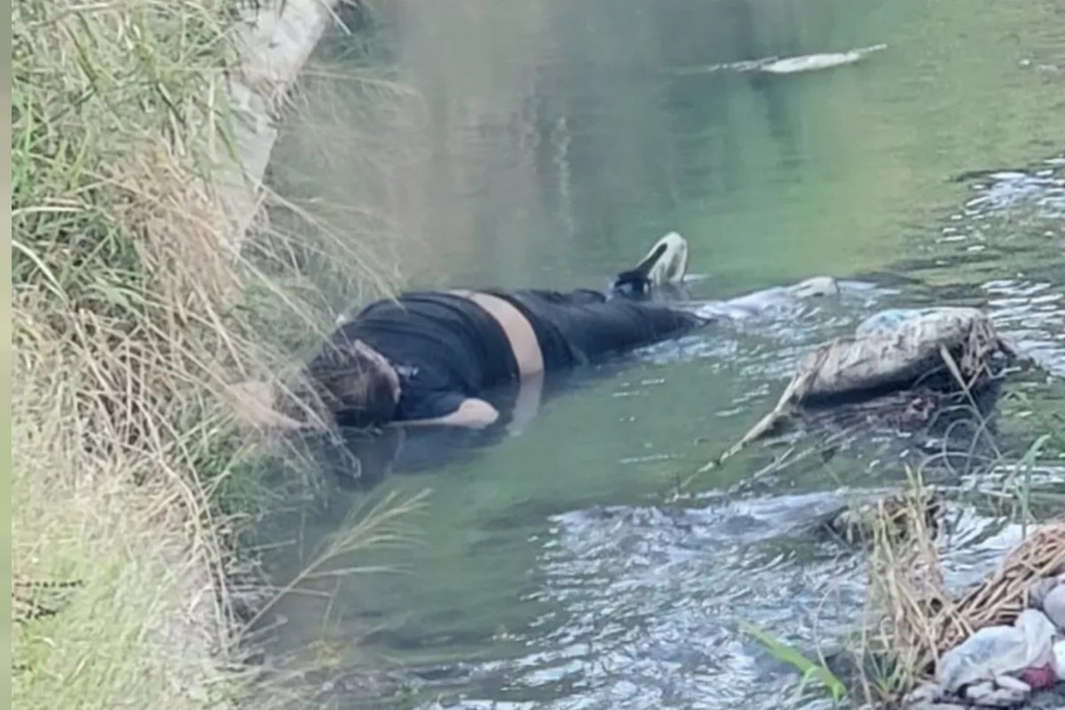 El Clarín tweet media