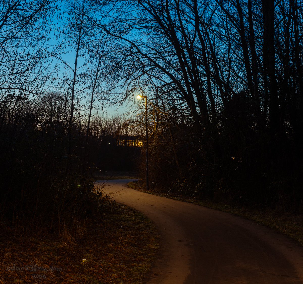 dan23freedom's tweet photo. 🏷️ A Lamp Between Places
·
📷 1/20 sec at f/4,5, ISO 1600, 50 mm standard 24-50mm —👤 #dan23freedom
#️⃣ #Photography #Urban #UrbanWalk #Trees #Sky #Germany
#TwilightScene #QuietReturn #SoftLight #Winter #LampAndPath #EveningGeometry #UrbanFable #ForestMood https://t.co/zTFlXFQUaP