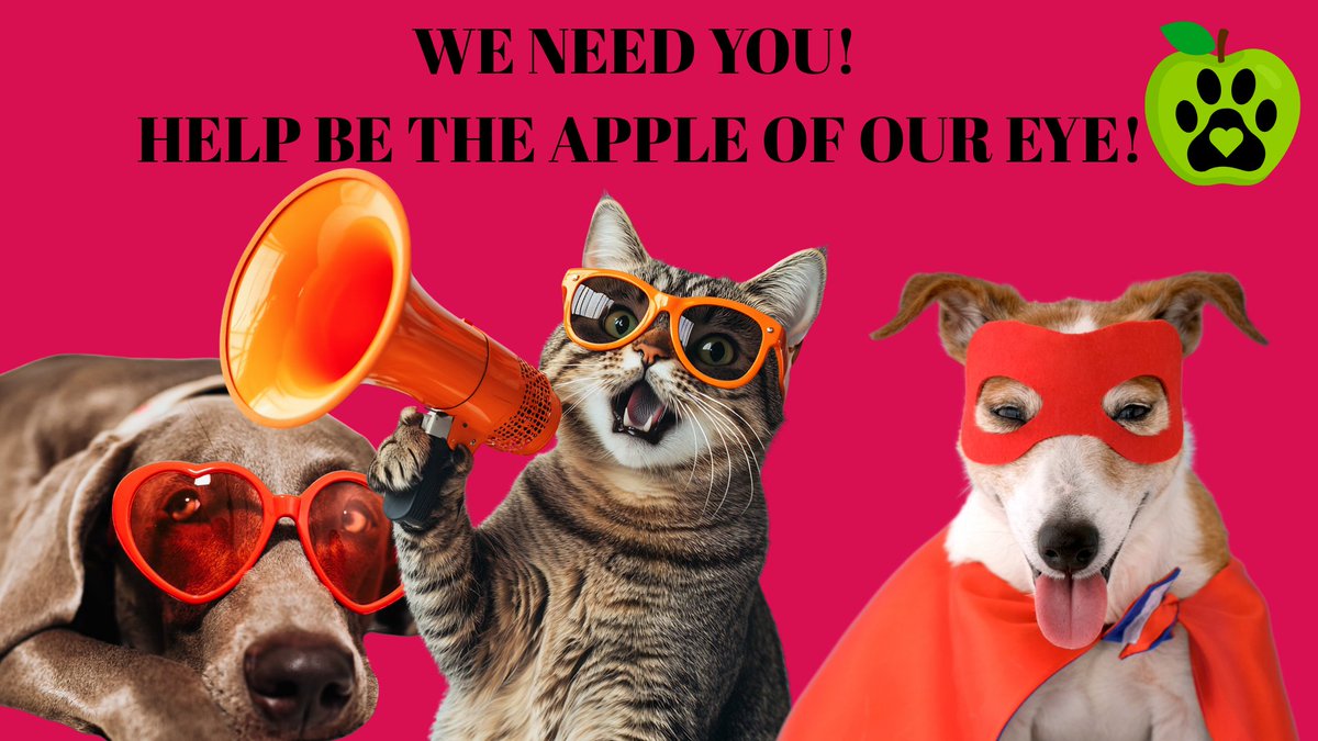 It’s that time again to roll up your sleeves and be part of Siouxland Humane Society’s biggest fundraising project of the year— that’s right, it’s APPLE time! 🍎
We are looking for amazing volunteers — who can help fill a shift or two call Kelly at 712-252-2614 x13 for more info.