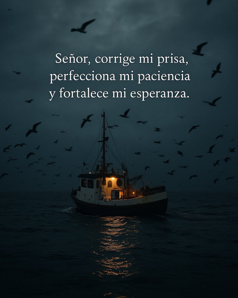Imperio Estoico. (@imperioestoico) on Twitter photo 