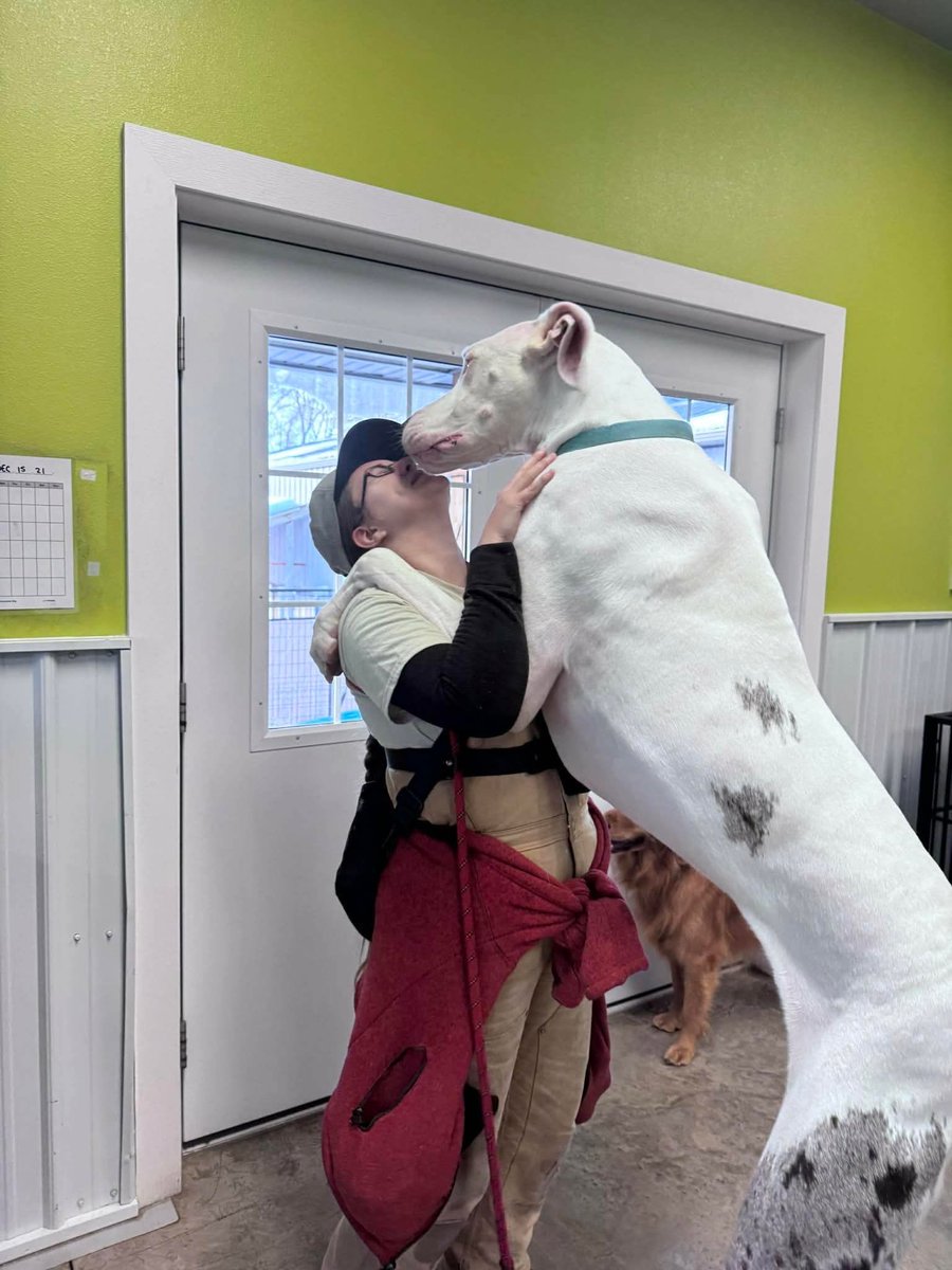 WeRateDogs tweet media