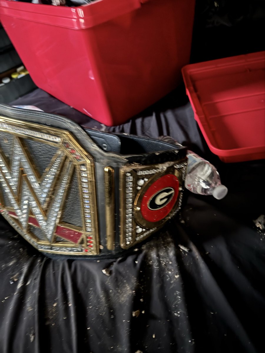 bigdezee35's tweet photo. @WWE on Dec 28th our house burned down. A few days later we went through the house and this survived. https://t.co/5Ue1KTJAW4