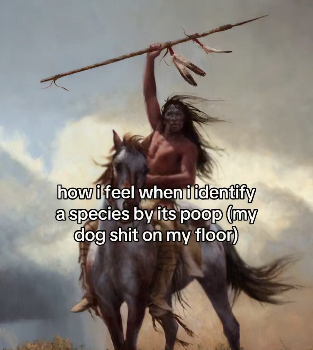 stxrinsky's tweet image. 