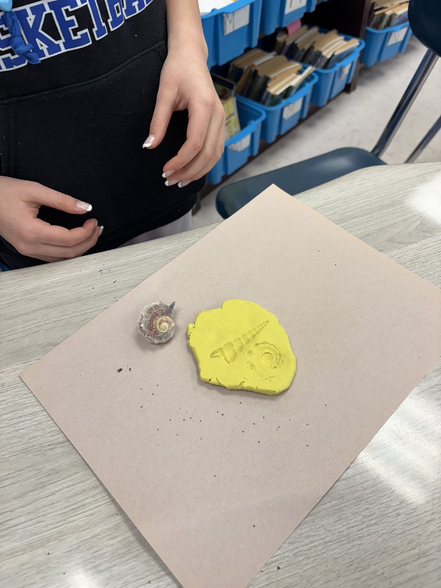 Hughes_Halloran244 tweet media