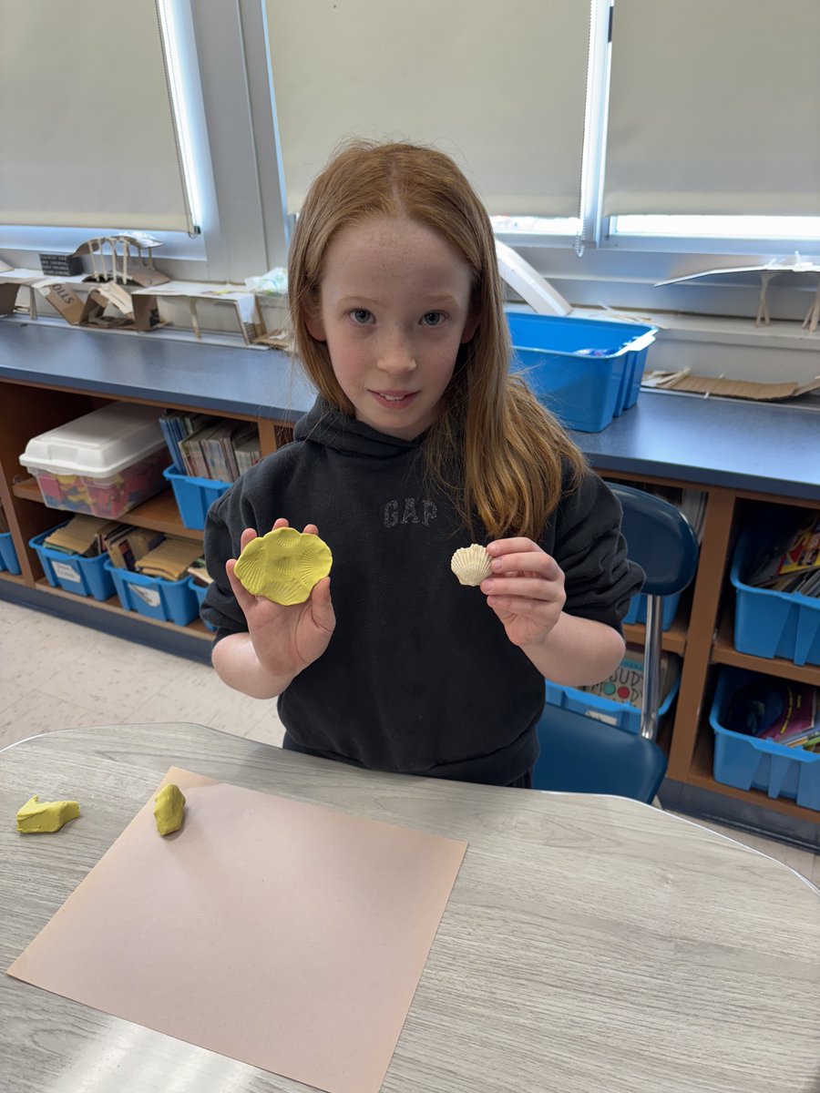 Hughes_Halloran244 tweet media