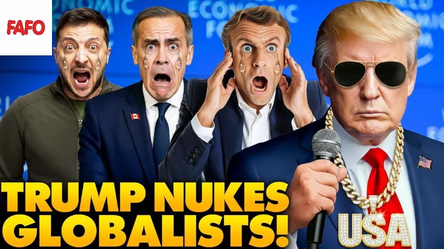 Steve ULTRA MAGA tweet media