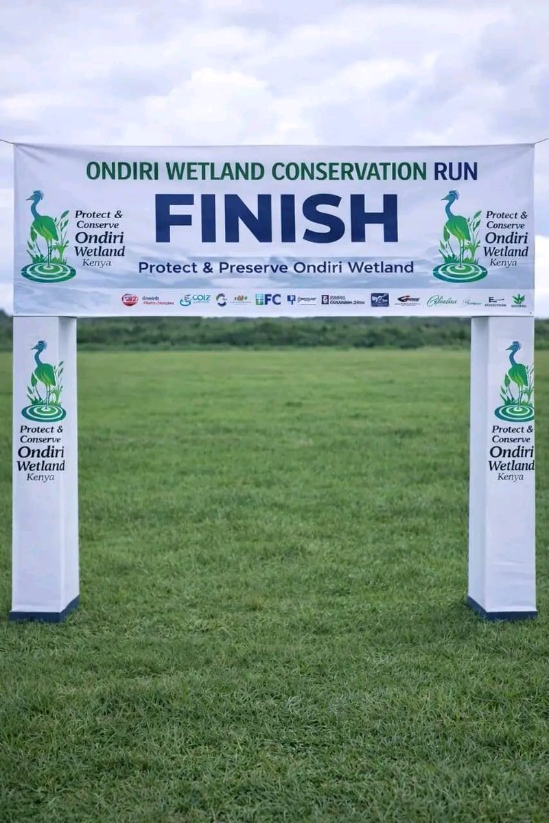 Taita Apalis tweet media