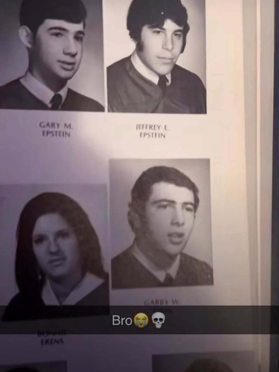 Braindead Bird App (@tragicbirdapp) on Twitter photo 