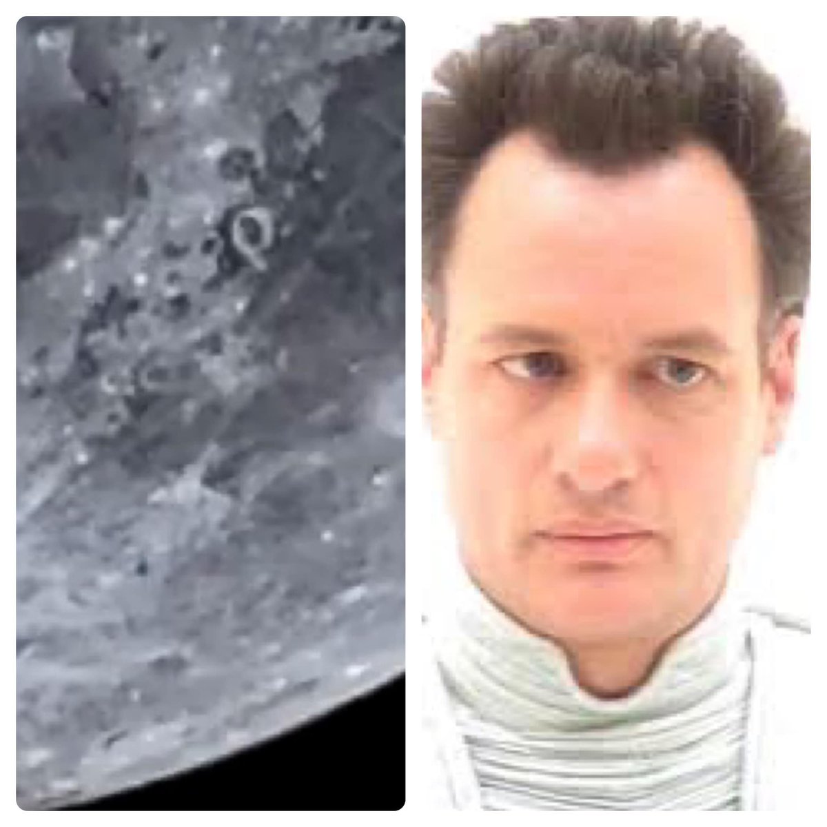 BurningTreeWriter tweet media